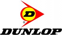 купить DUNLOP в интернет-магазине Красноярск